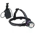 Black Diamond Polar Star Headlamp 2005