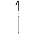 Leki Full-Spectrum BC Alu